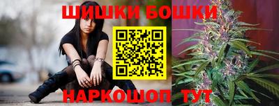 шишки Новокубанск