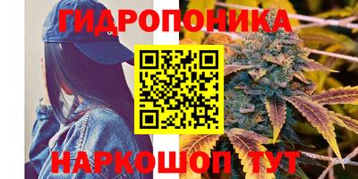 PSILOCYBIN Новодвинск