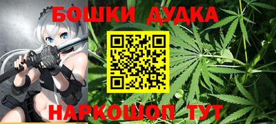 сатива Обь