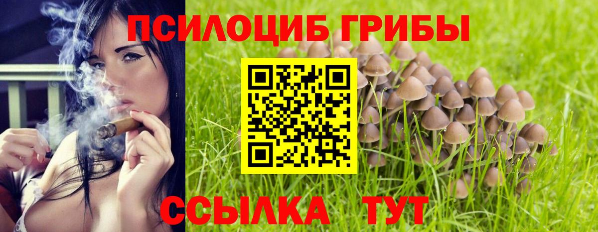Галлюциногенные грибы мицелий  Вход с VPN  Большой Камень 