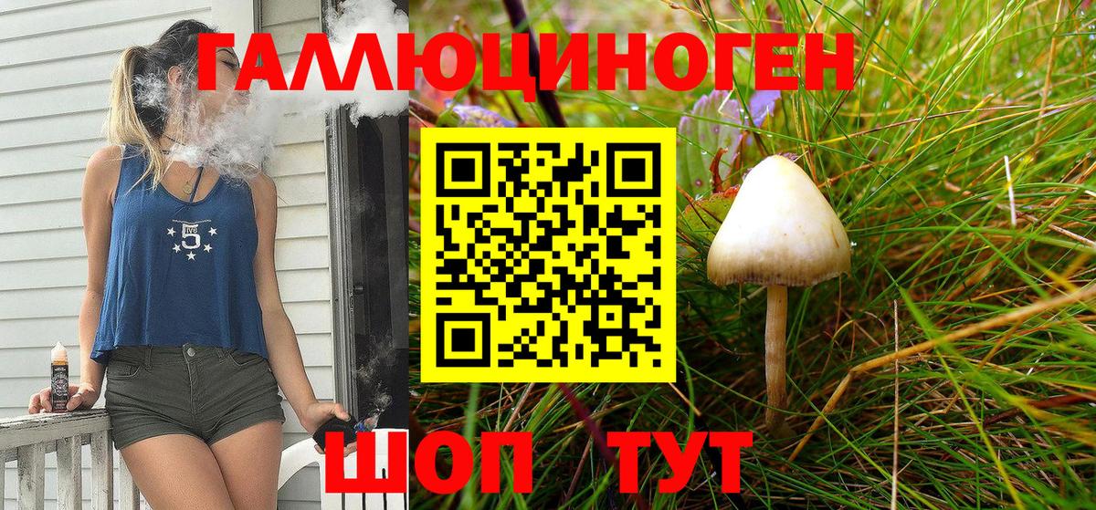 Галлюциногенные грибы Magic Shrooms Большой Камень